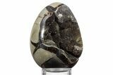Septarian Dragon Egg Geode - Sparkly Black Crystals #356162-2